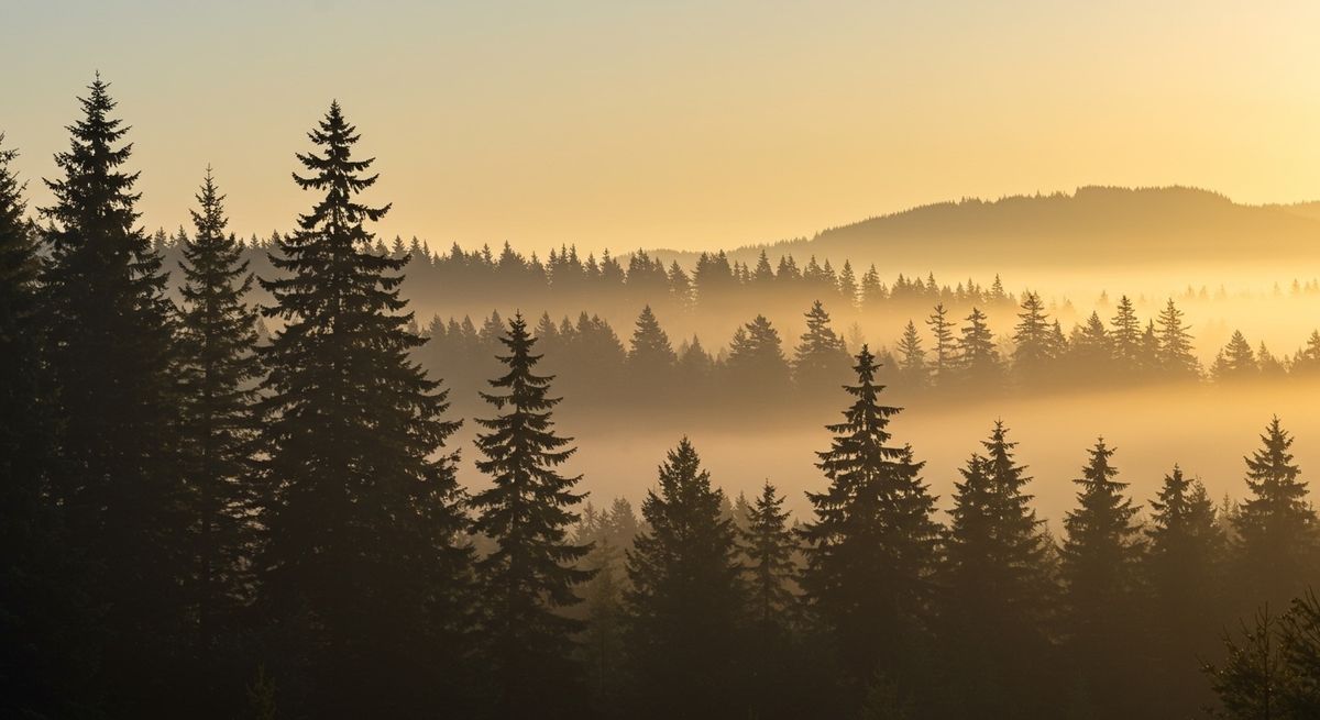Professional team collaborating in modern Vancouver office